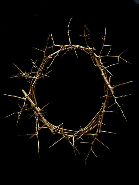 Fryktelig Støy - Disappointment - CD